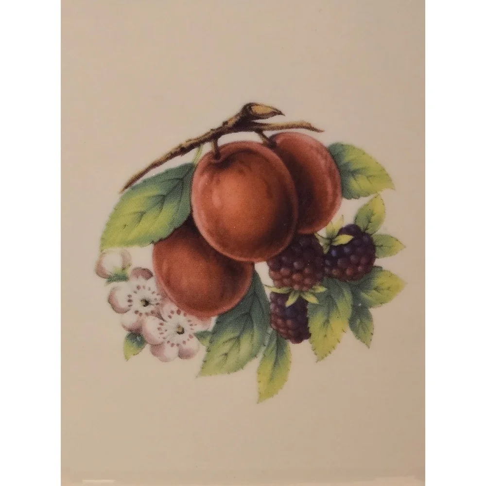 Vintage Formalities by Baum Bros Fruit Berry Dessert Serving‎ Dish Gold Trim